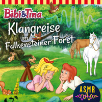Bibi & Tina, Folge 1: Klangreise im Falkensteiner Forst - Unknown - Hörbuch