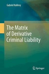 The Matrix of Derivative Criminal Liability - Gabriel Hallevy - E-Book