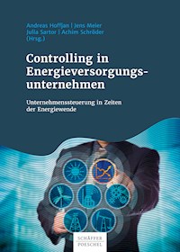 Controlling in Energieversorgungsunternehmen -  - E-Book