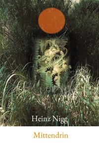Mittendrin - Heinz Nigg - E-Book