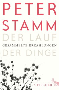 Der Lauf der Dinge - Peter Stamm - E-Book