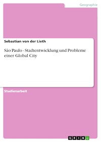 Sáo Paulo - Stadtentwicklung und Probleme einer Global City - Sebastian von der Lieth - E-Book