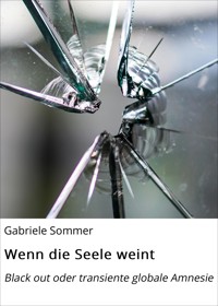 Wenn die Seele weint - Gabriele Sommer - E-Book