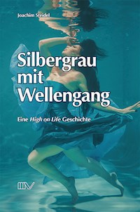 Silbergrau mit Wellengang - Joachim Steidel - E-Book
