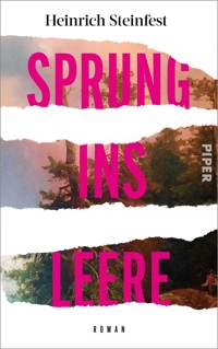 Sprung ins Leere - Heinrich Steinfest - E-Book