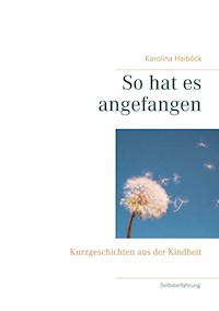 So hat es angefangen - Karolina Haiböck - E-Book