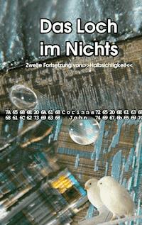 Das Loch im Nichts - Corinna John - E-Book