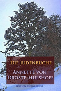 Die Judenbuche - Annette  Droste-Hülshoff - E-Book