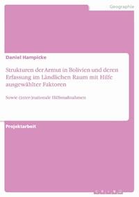 Strukturen der Armut in Bolivien und deren Erfassung im Ländlichen Raum mit Hilfe ausgewählter Faktoren - Daniel Hampicke - E-Book