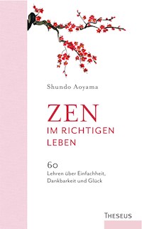 Zen im richtigen Leben - Shundo Aoyama - E-Book
