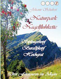Naturpark Nagelfluhkette Siplingerkopf Buralpkopf Hochgrat - Johann Schubert - E-Book