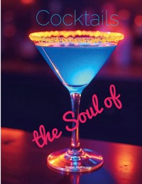 The Soul of Cocktails - Stefan Hoffmann - E-Book
