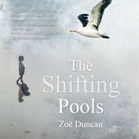 The Shifting Pools (Unabridged) - Zoe Duncan - Hörbuch
