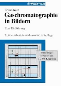 Gaschromatographie in Bildern - Bruno Kolb - E-Book