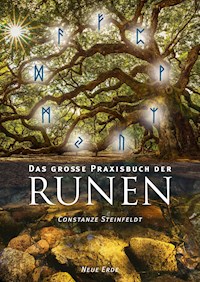 Das große Praxisbuch der Runen - Constanze Steinfeldt - E-Book