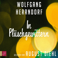 In Plüschgewittern - Wolfgang Herrndorf - Hörbuch