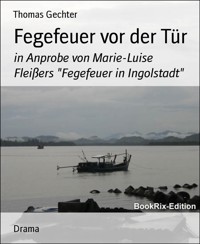 Fegefeuer vor der Tür - Thomas Gechter - E-Book