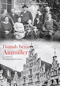 Damals beim Ainmiller - Therese Metz - E-Book