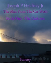 The Man From The Car Wash - Joseph P Hradisky Jr - E-Book