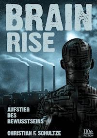 Brainrise - Christian F. Schultze - E-Book
