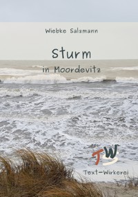 Sturm in Moordevitz - Wiebke Salzmann - E-Book