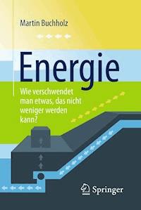 Energie – Wie verschwendet man etwas, das nicht weniger werden kann? - Buchholz Martin - E-Book