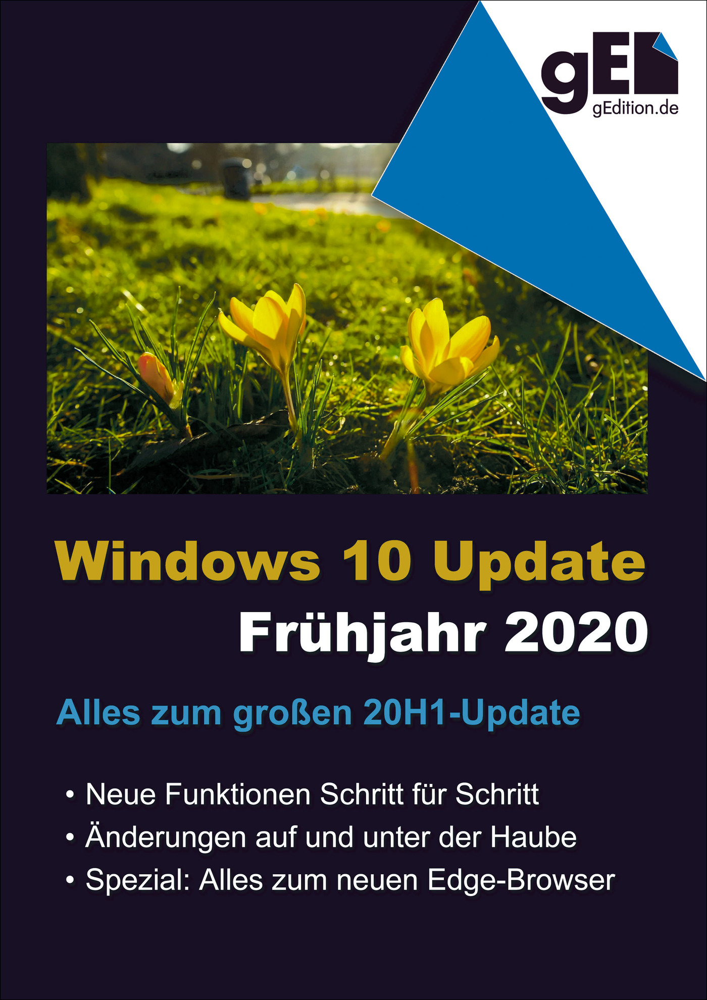 Windows 10 Update - Frühjahr 2020 - Wolfram Gieseke - E-Book