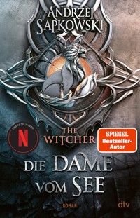Die Dame vom See - Andrzej Sapkowski - E-Book