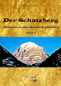 Der Schatzberg Band 2 - Radu Cinamar - E-Book