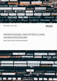 Privatisierung der öffentlichen Grundversorgung. Was heißt das für den Kunden? - Michael Schiffer - E-Book