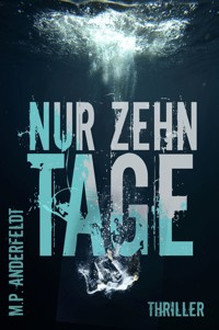 Nur zehn Tage - Martin P. Anderfeldt - E-Book
