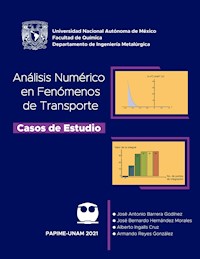 Análisis numérico en fenómenos de transporte. Casos de estudio - José Antonio Barrera Godínez - E-Book