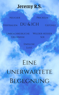 Eine unerwartete Begegnung - Jeremy R.S. - E-Book