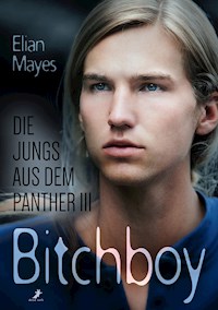 Die Jungs aus dem Panther 3: Bitchboy - Elian Mayes - E-Book