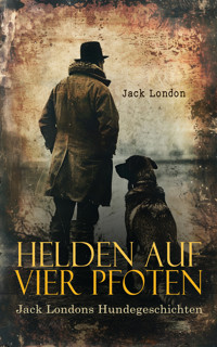 Helden auf vier Pfoten: Jack Londons Hundegeschichten - Jack  London - E-Book