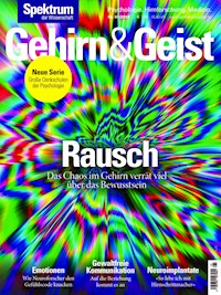 Gehirn&Geist 1/2019 Rausch -  - E-Book