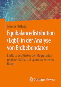 Equibalancedistribution (Eqbl) in der Analyse von Erdbebendaten - Marcus Hellwig - E-Book