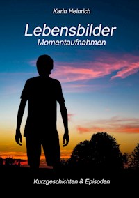 Lebensbilder Momentaufnahmen - Karin Heinrich - E-Book