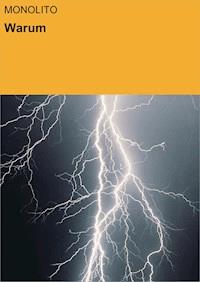 Warum - Klaus Thieme - E-Book