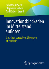 Innovationsblockaden im Mittelstand auflösen - Sebastian Pioch - E-Book