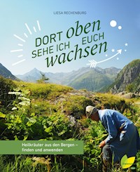 Dort oben sehe ich euch wachsen - Liesa Rechenburg - E-Book