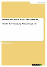Erhöht Zuwanderung Arbeitslosigkeit? - Johannes-Maximilian Brede - E-Book