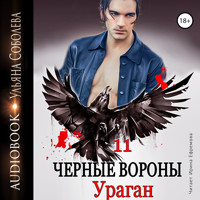 Чёрные вороны 11. Ураган - Ульяна Соболева - Hörbuch