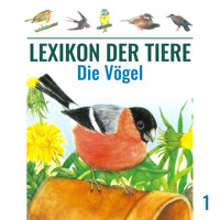 Lexikon der Tiere, Folge 1: Die Vögel - Mik Berger - Hörbuch