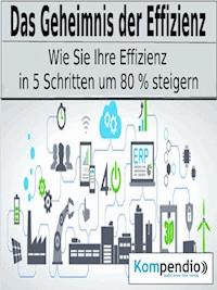 Das Geheimnis der Effizienz - Alessandro Dallmann - E-Book