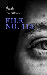 File No. 113 - Emile Gaboriau - E-Book
