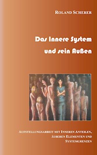 Das innere System und sein Außen - Roland Scherer - E-Book