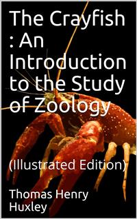 The Crayfish / An Introduction to the Study of Zoology. The International Scientific Series, Vol. XXVIII - Thomas Henry Huxley - E-Book