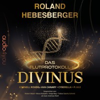 Divinus - Roland Hebesberger - Hörbuch