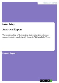 Analytical Report - Lukas Scisly - E-Book